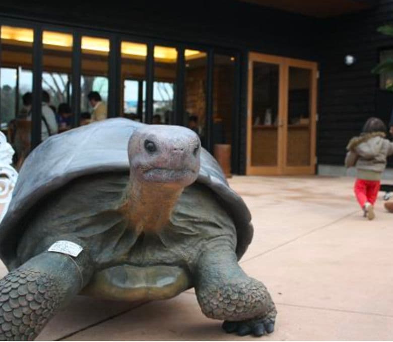置物 縁起物 動物 ペット ガジェット BESS 亀