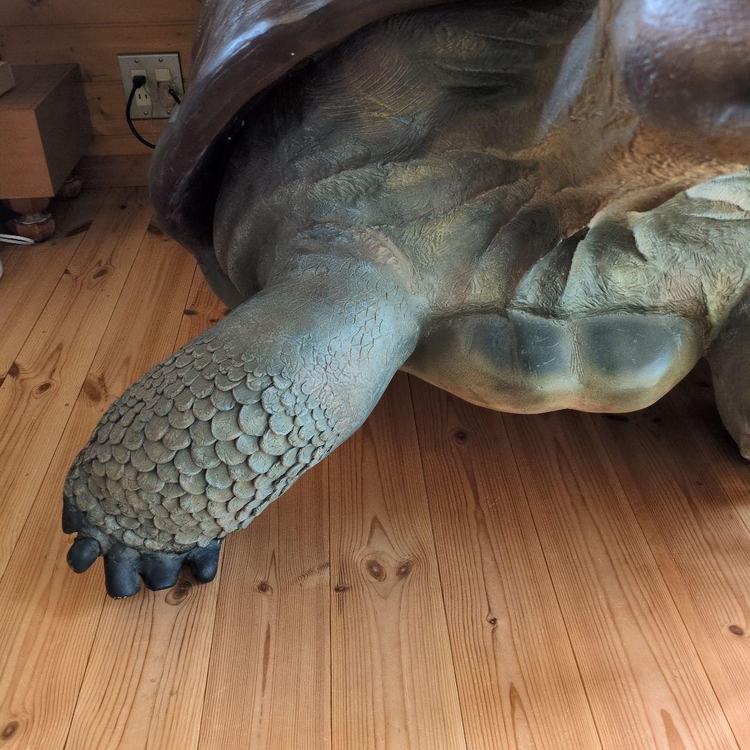 置物 縁起物 動物 ペット ガジェット BESS 亀