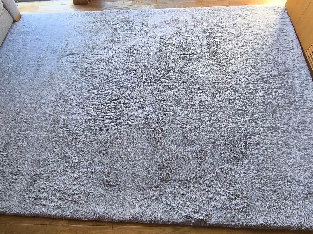 Francfranc ラグ ミーティスラグ LLサイズ 200☓300cmグレー