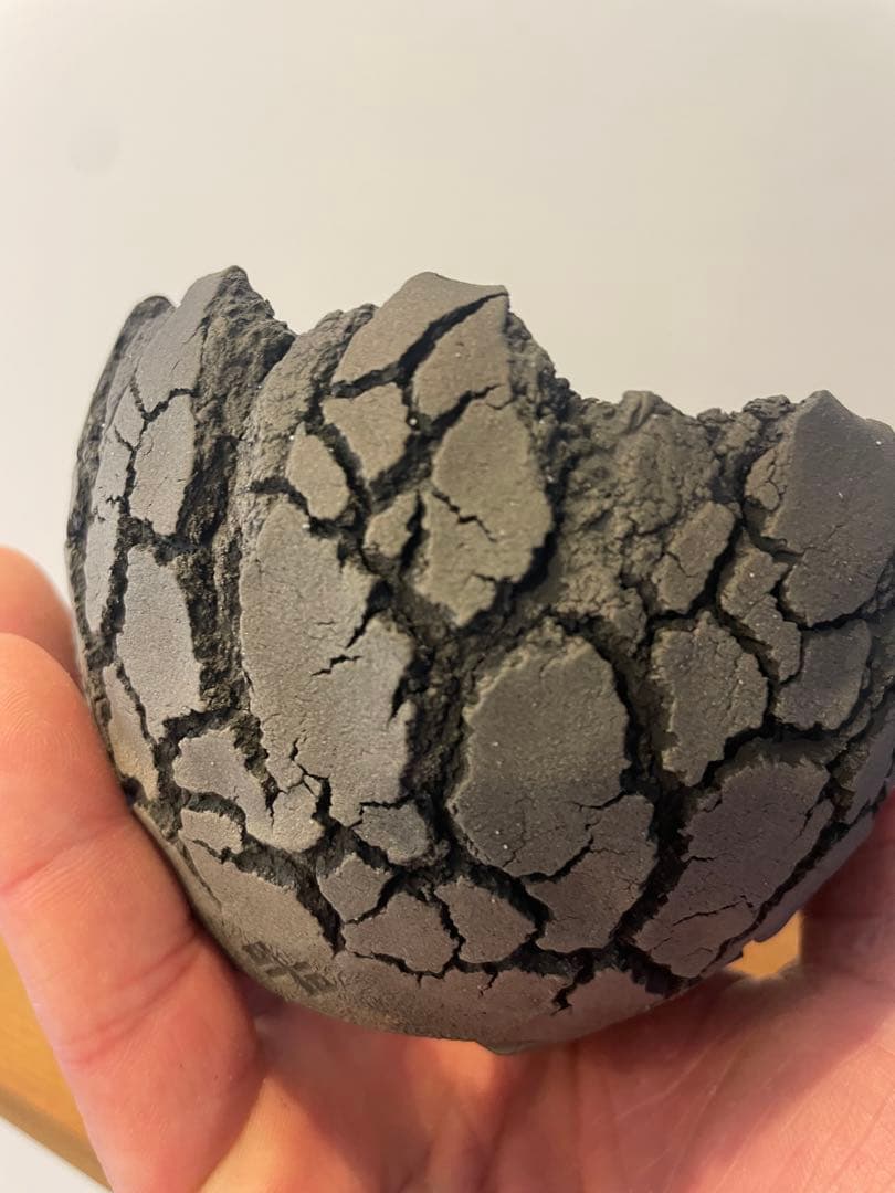 セキグチ　タカヒトOpot 新品未使用