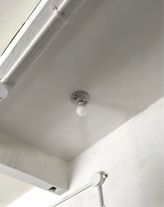 レビトン　貴重　海外買付け製品　数量限定　新品　ランプホルダー　ランプ　ライト