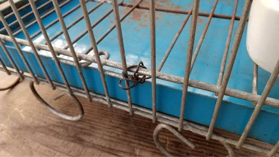 【O-1064】鳥籠 鳥カゴ オウム インコ 昭和レトロ アンティーク シャビー