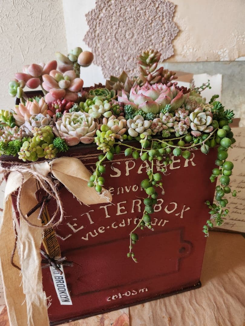 多肉植物寄せ植え　そのまま飾れる寄せ植え 　赤いポスト♡
