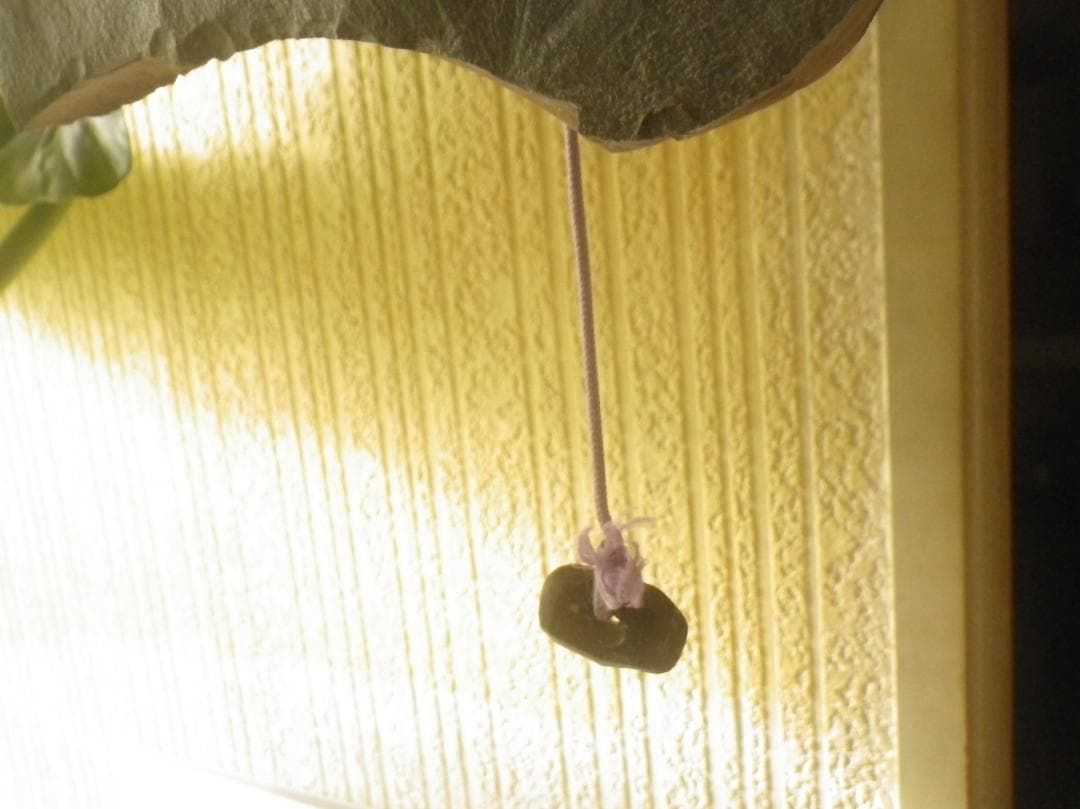 サヌカイト　玄関チャイム　２４１２０４