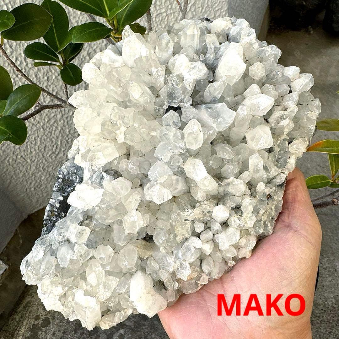 M1859☆パイライト共生水晶クラスター2.8Kg☆尾去沢鉱山産☆N51001