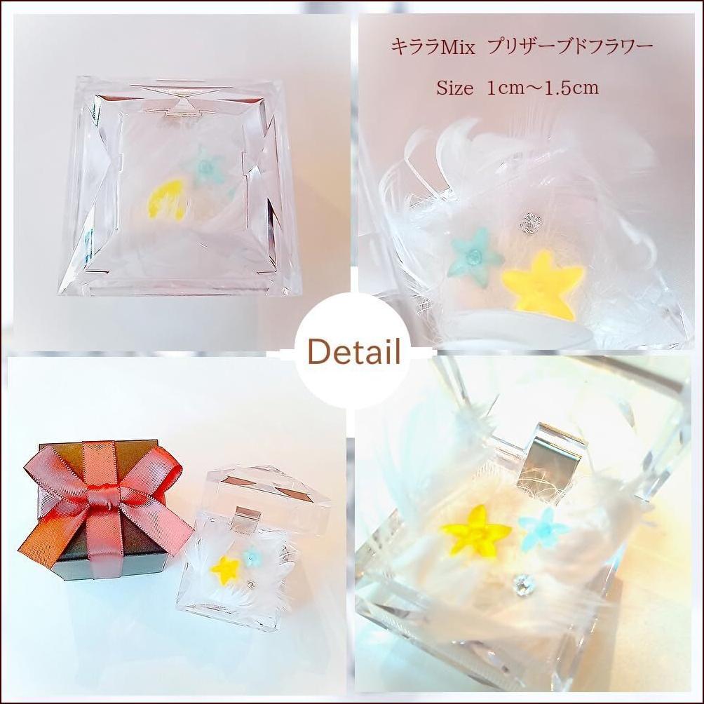 プリザーブドフラワー ダイヤモンドジュエリー スターフラワー