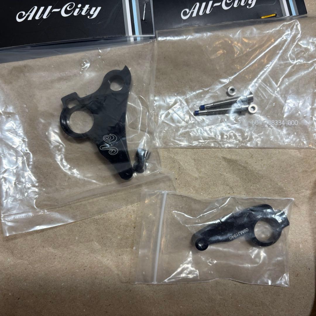 t*r様 allcity Super Professional 52 予備エンド