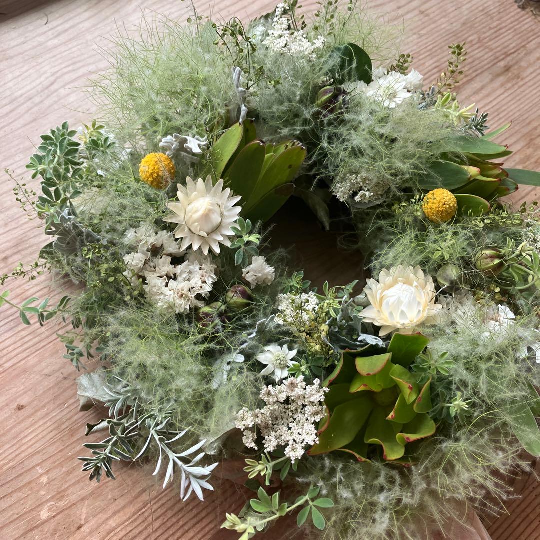 スモークツリー とリューカデンドロンのグリーンオーバルリース　クラスペディア