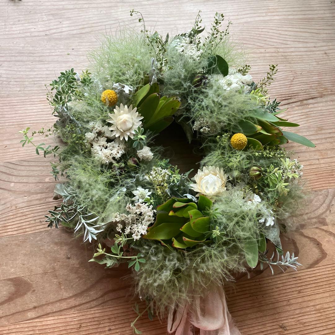 スモークツリー とリューカデンドロンのグリーンオーバルリース　クラスペディア