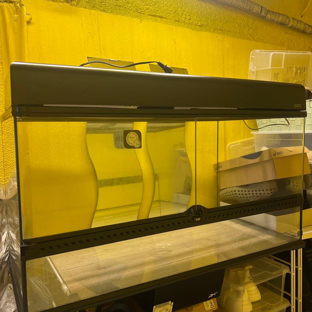 引き取り限定❗️エキゾテラ　グラステラリウム 爬虫類ケージ　まとめ売り