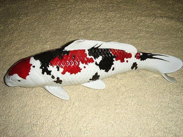 有田焼 錦鯉 置物 昭和 大正３色 勝山 陶器 ニシキゴイ 鯉 祝 コイ 縁起物