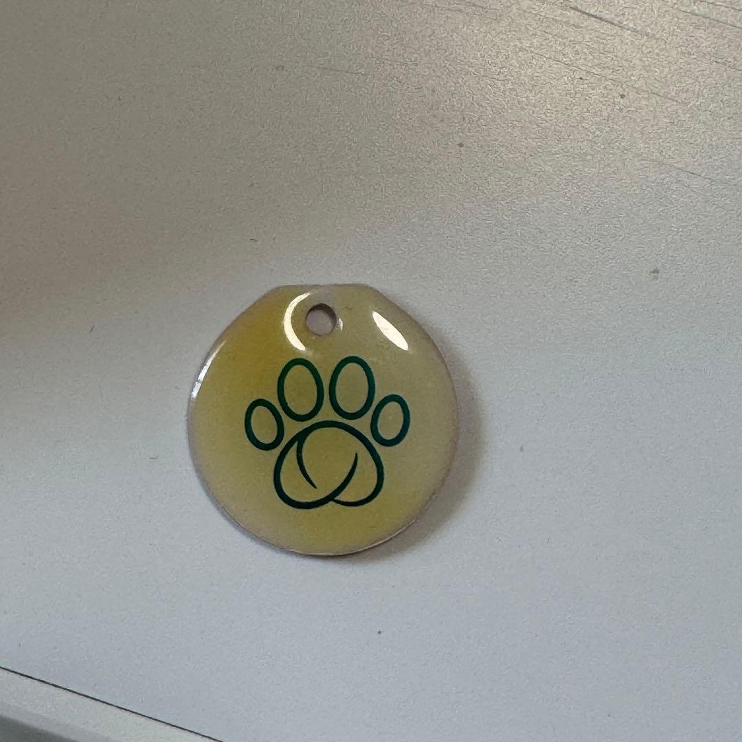 シュアーフィーダー　中古　SUREFEED