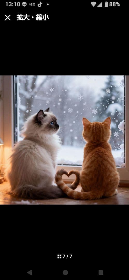 ご確認用　なつぞら様　ハンカチ　ネコちゃん柄