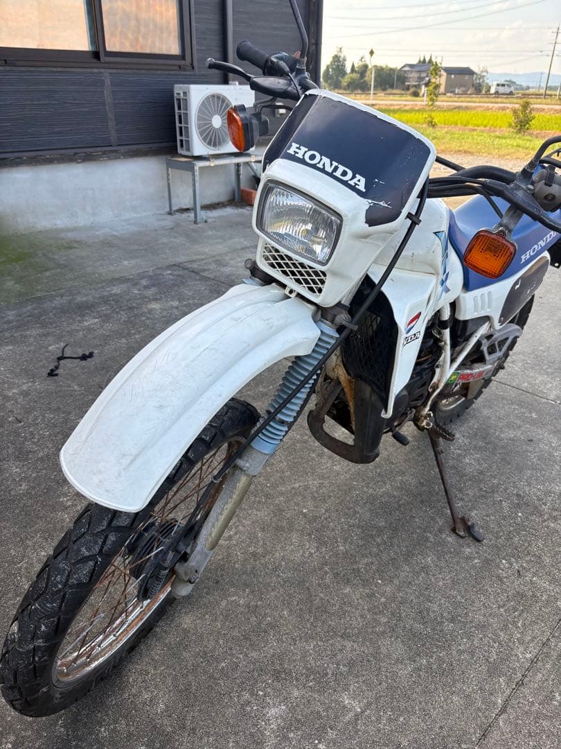 HONDA MTX 50r オフロードバイク ホワイト/ブルー