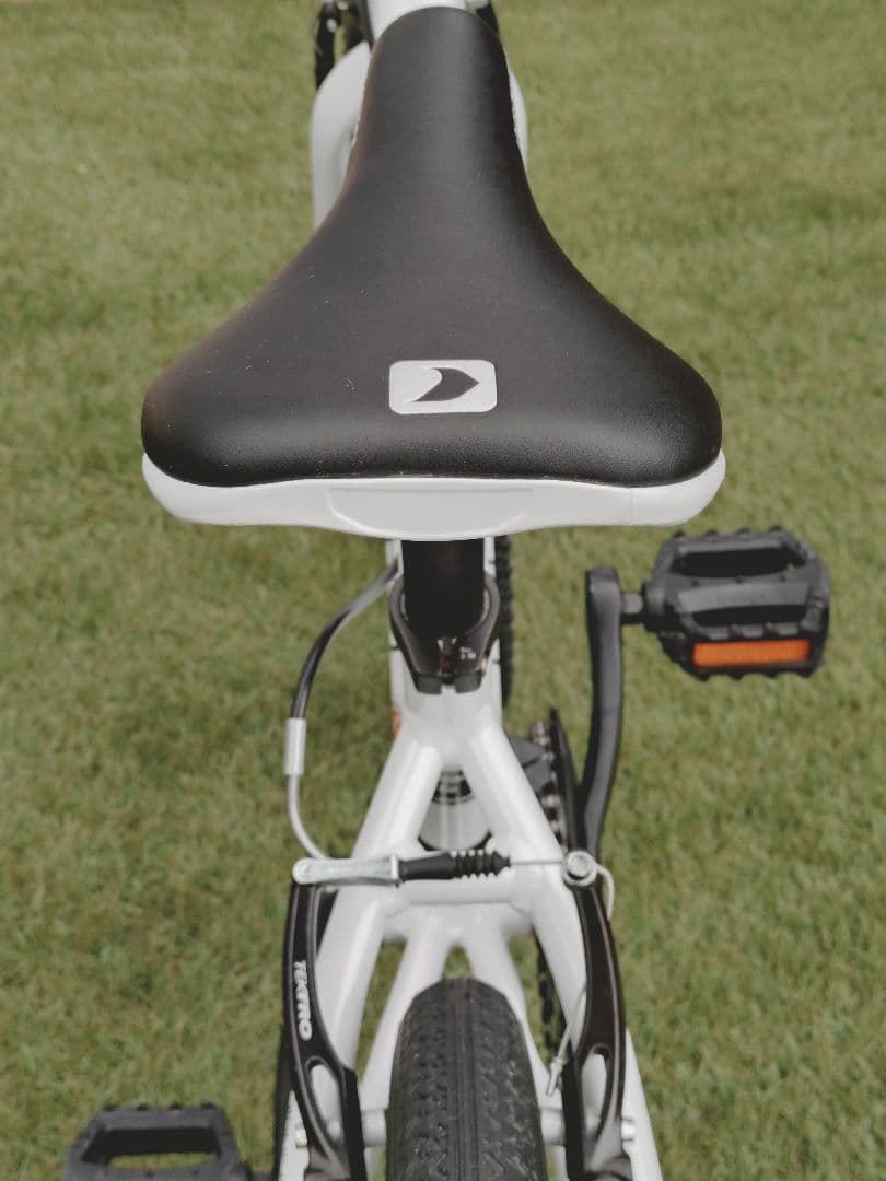 ルイガノ　J20【兵庫県　直接引渡し限定】