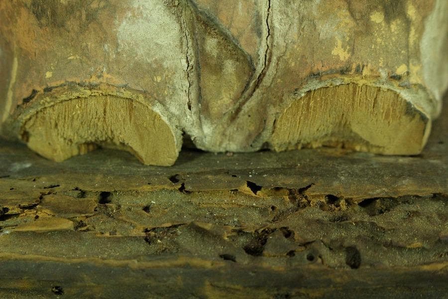 仏教美術 木彫 十一面観音 古 仏像 時代物(K-YC395)