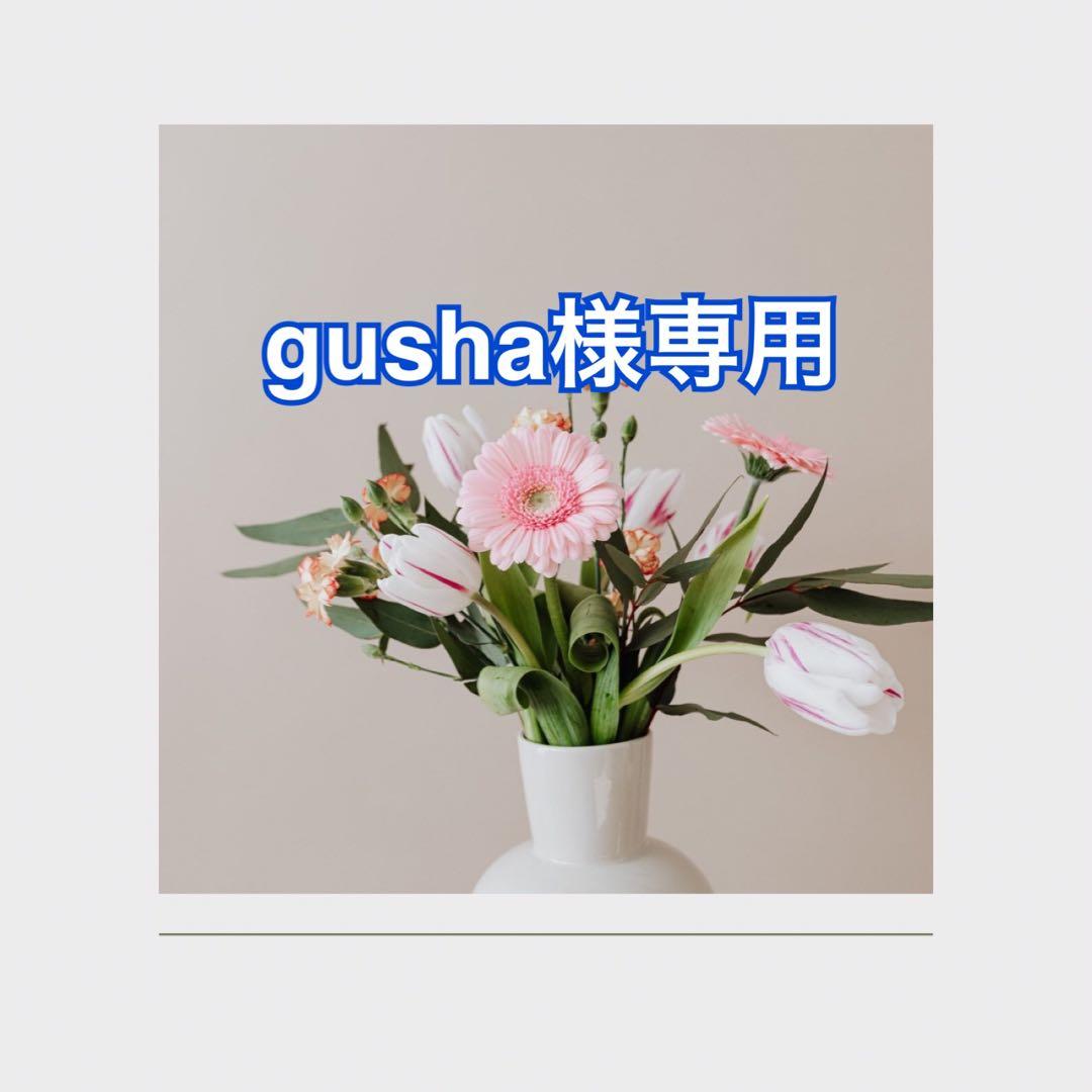 その他 gusha