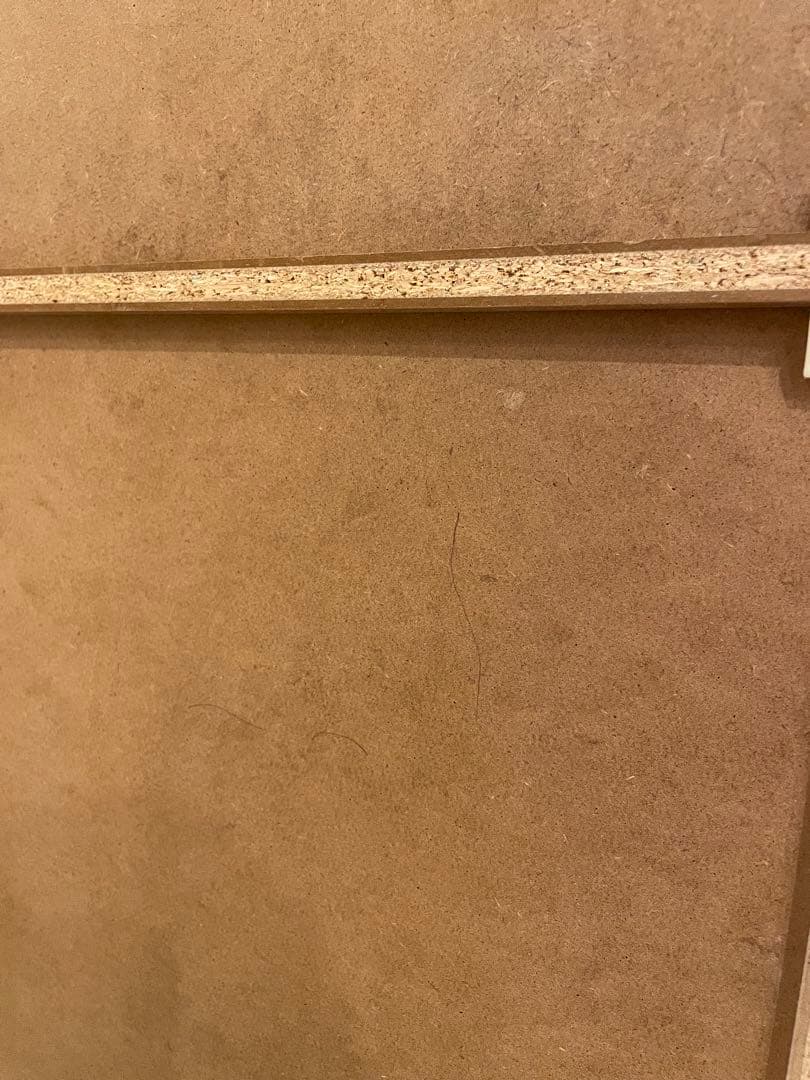 ニトリ　分別ペールカウンター　ロモ ゴミ箱