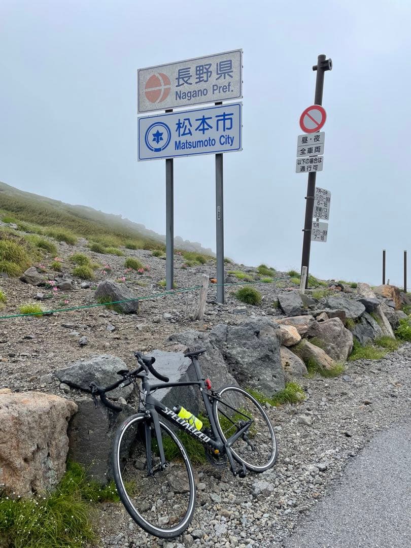 2019 Specialized Allez Sprint Comp 58サイズ