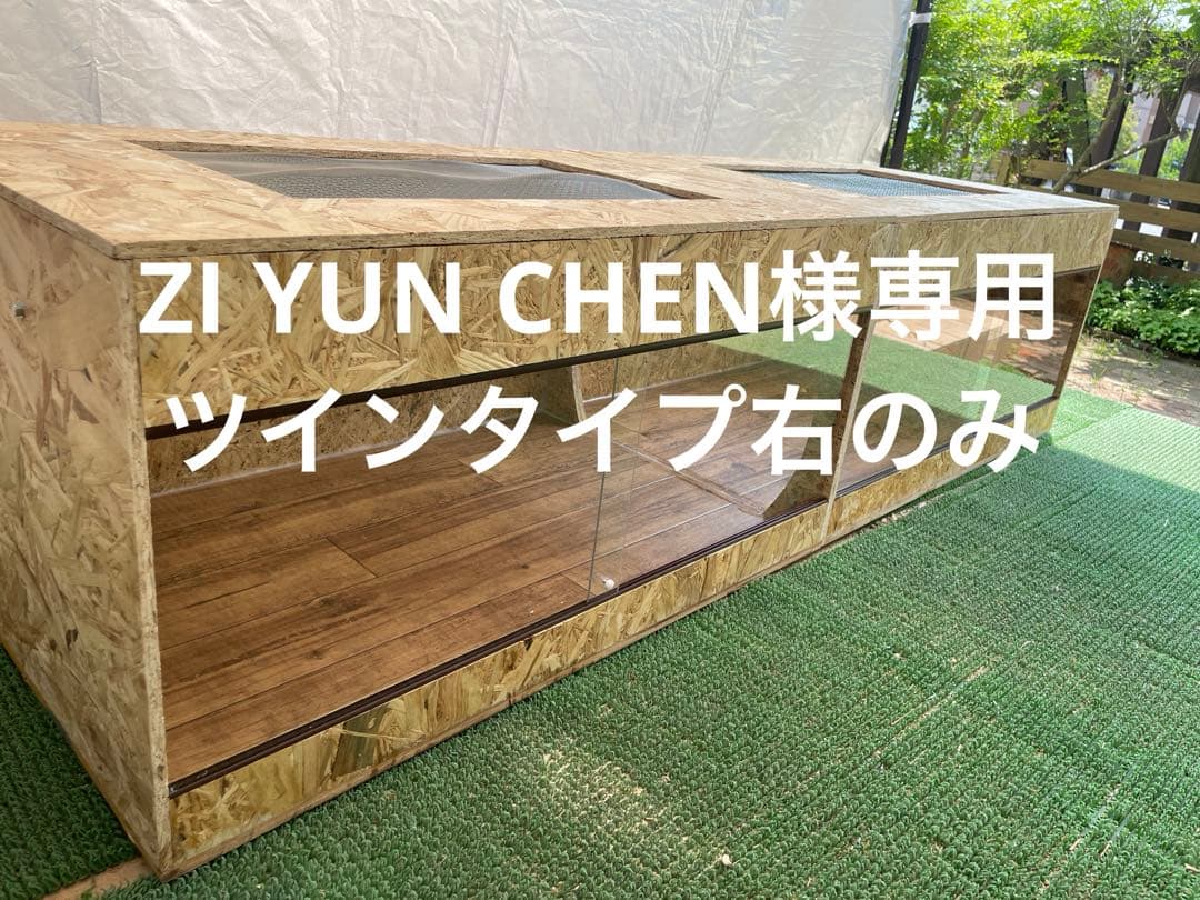 ZI YUN CHEN　ツインタイプの右のみ　送料込み
