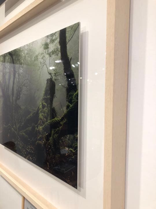 [残り1点のみ]屋久島額装写真