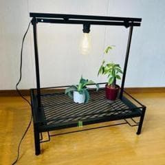 植物棚　シェルフ　アガペーラック　ダクトレール50cm 受け皿