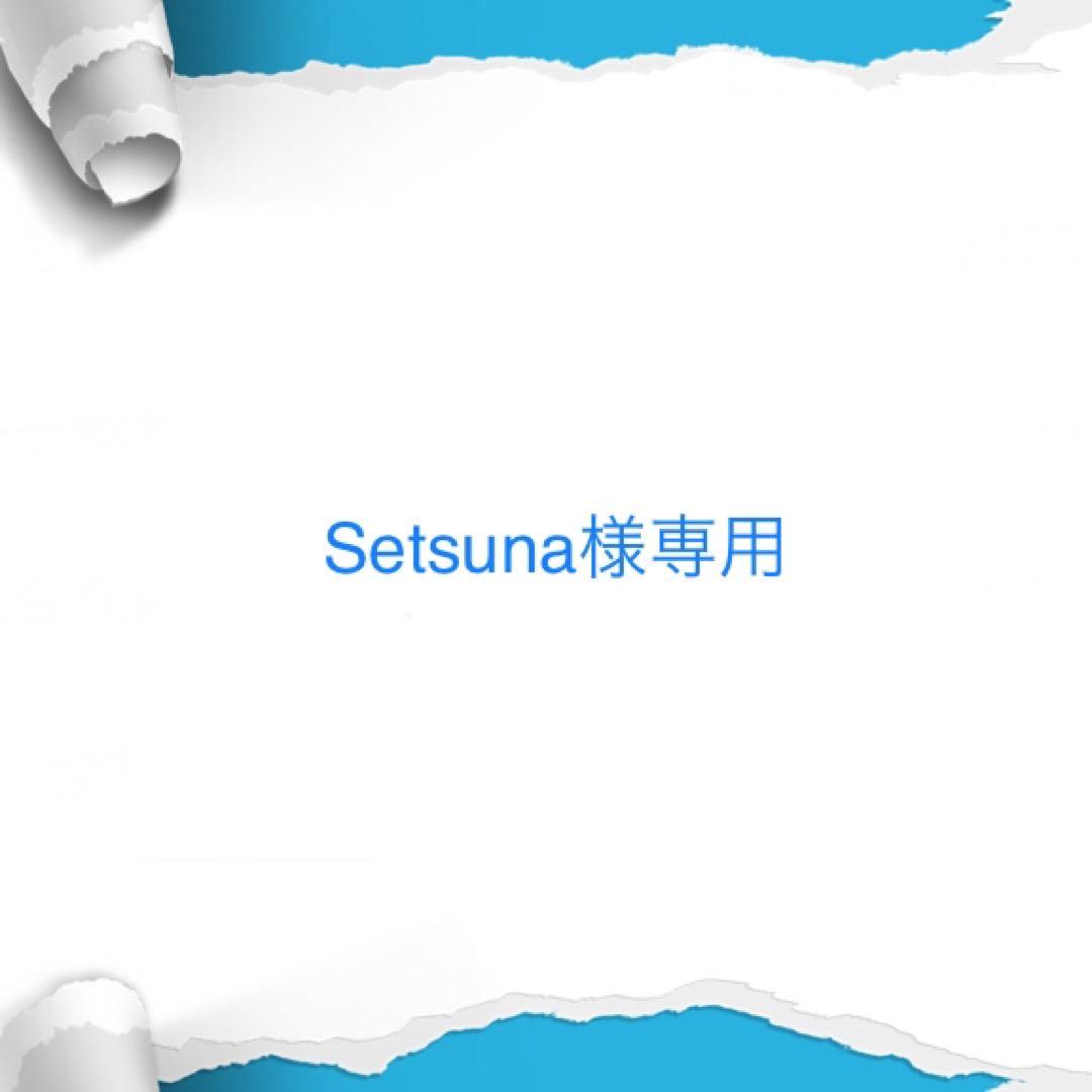 その他 Setsuna