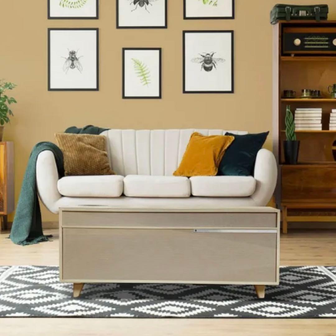 【極美品】LOOZER スマートテーブル　冷蔵庫・冷凍庫・スピーカー