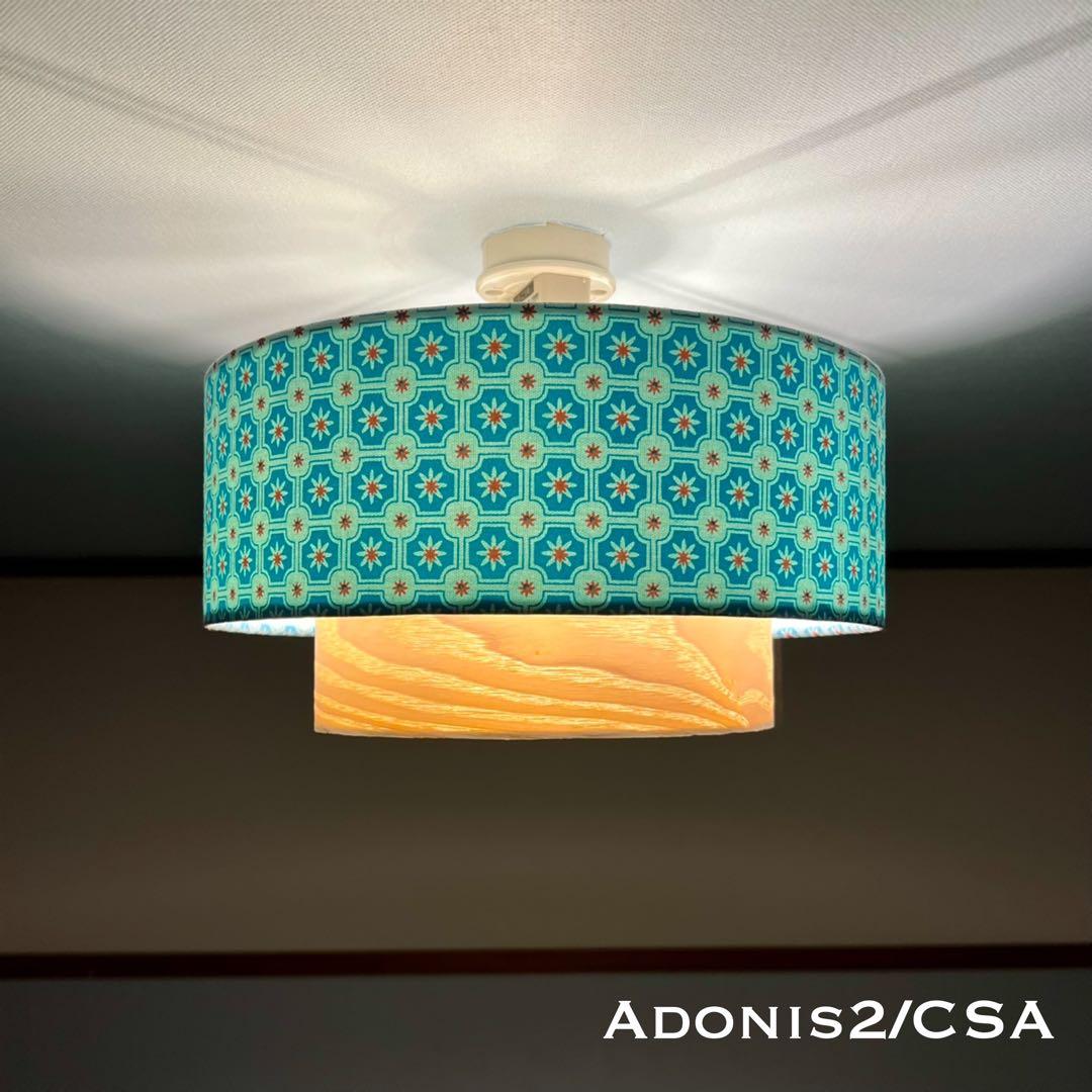 天井照明 シーリングライト Adonis2/C E26 LED 北欧 インテリア