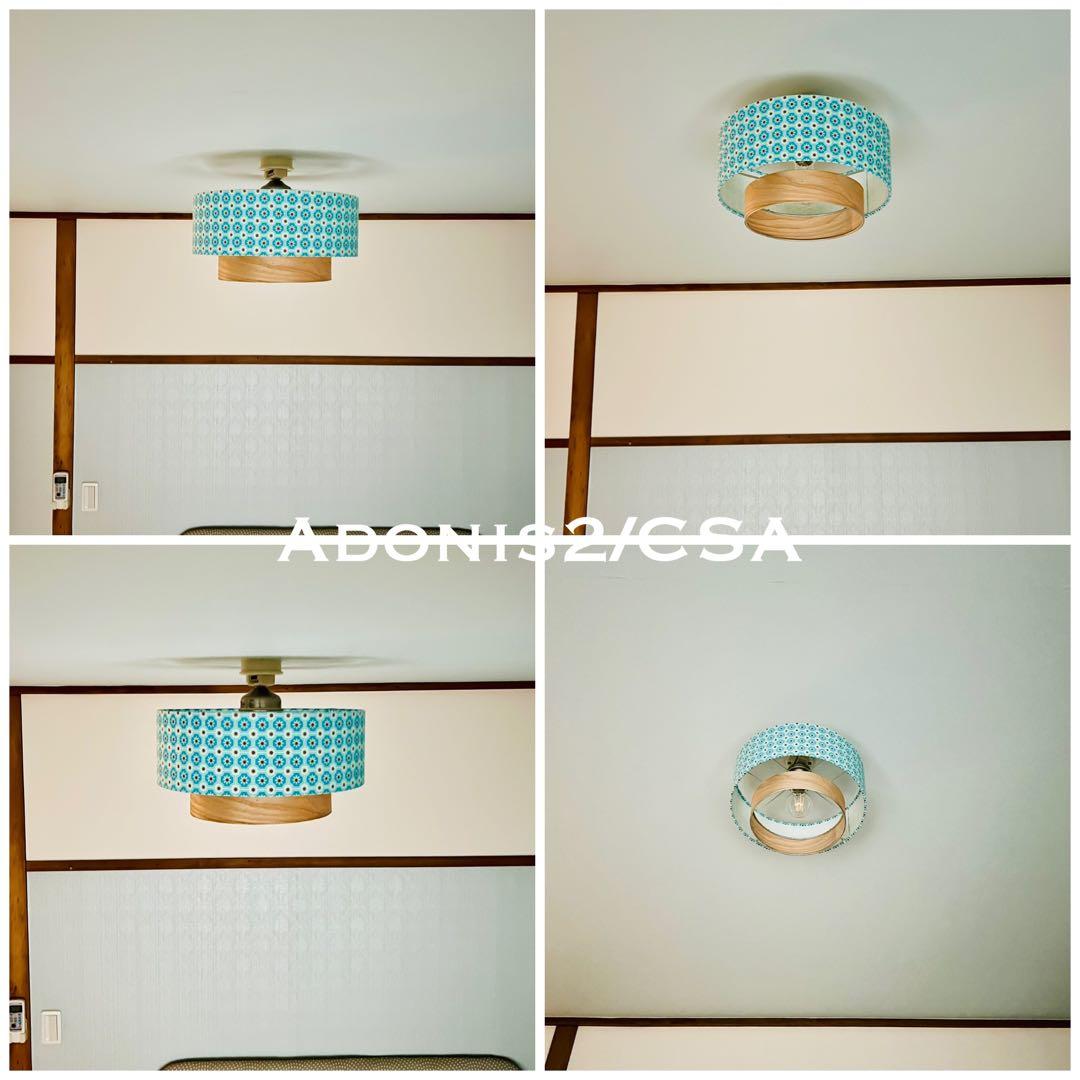 天井照明 シーリングライト Adonis2/C E26 LED 北欧 インテリア