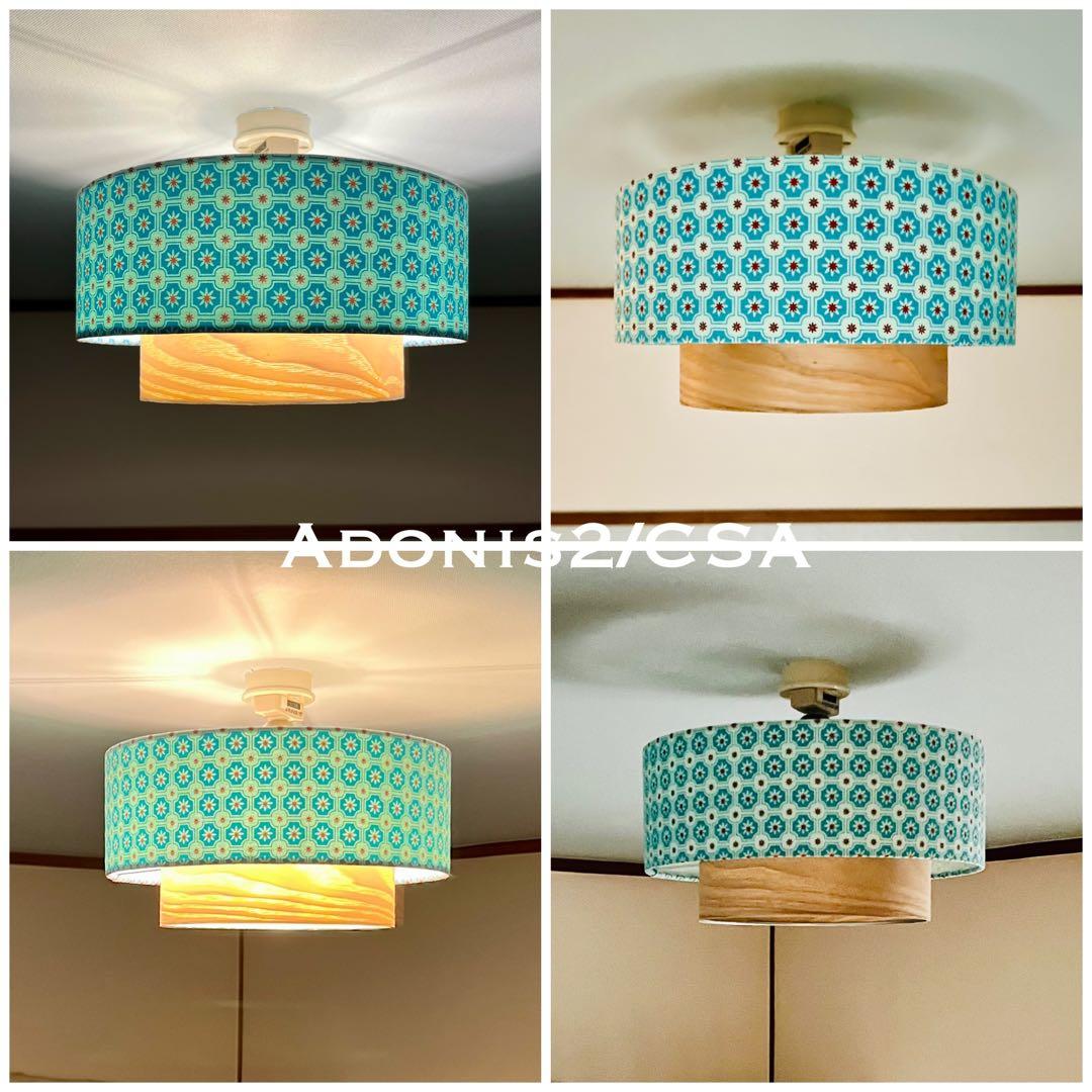 天井照明 シーリングライト Adonis2/C E26 LED 北欧 インテリア