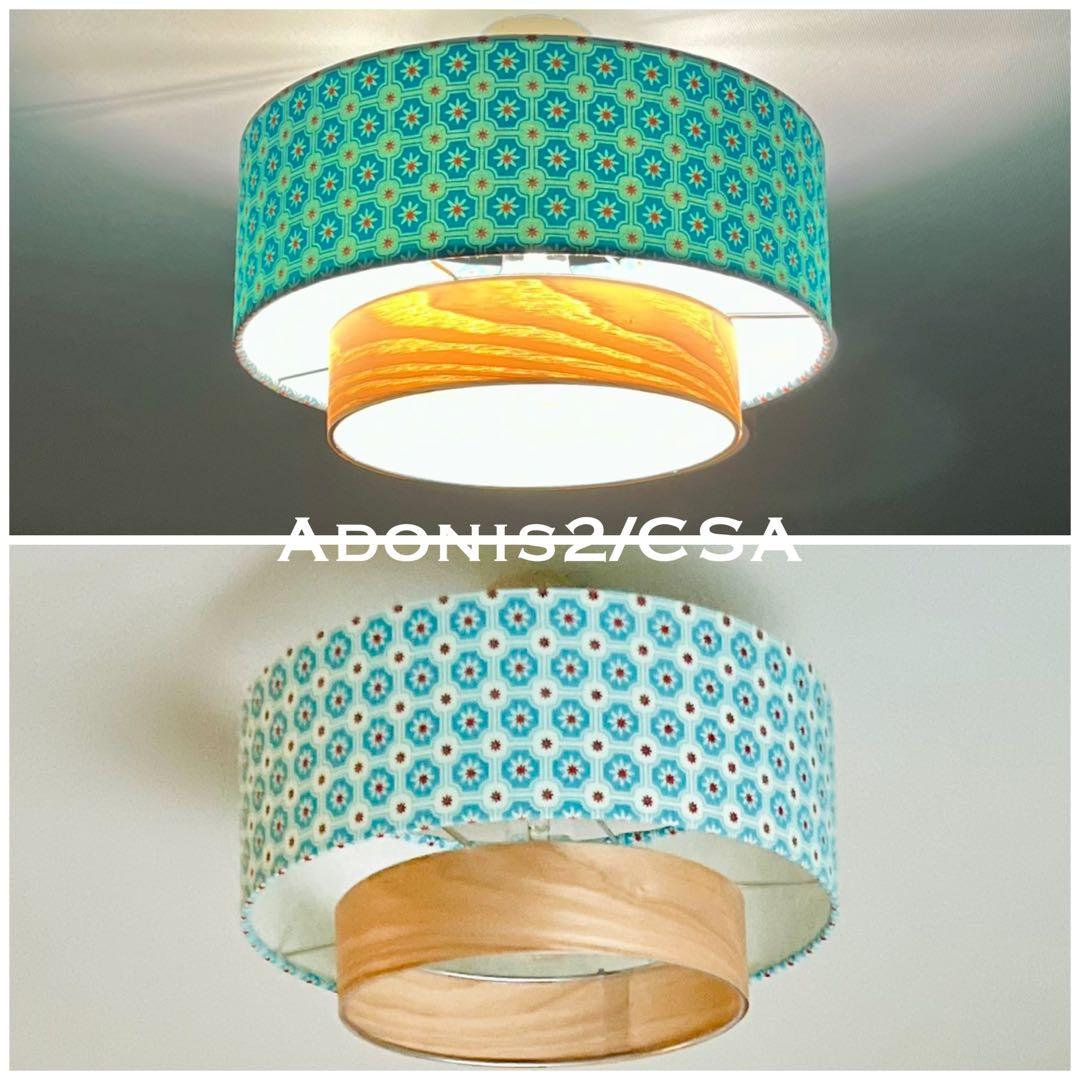 天井照明 シーリングライト Adonis2/C E26 LED 北欧 インテリア