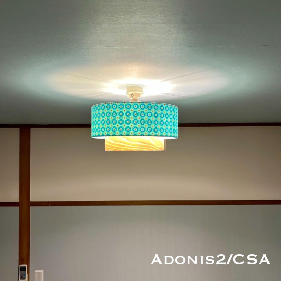 天井照明 シーリングライト Adonis2/C E26 LED 北欧 インテリア