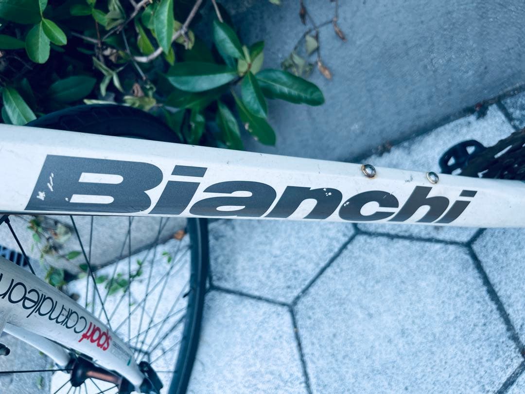 ビアンキ　自転車　クロスバイク　カメレオンテ スポーツ3 中古　白bianchi