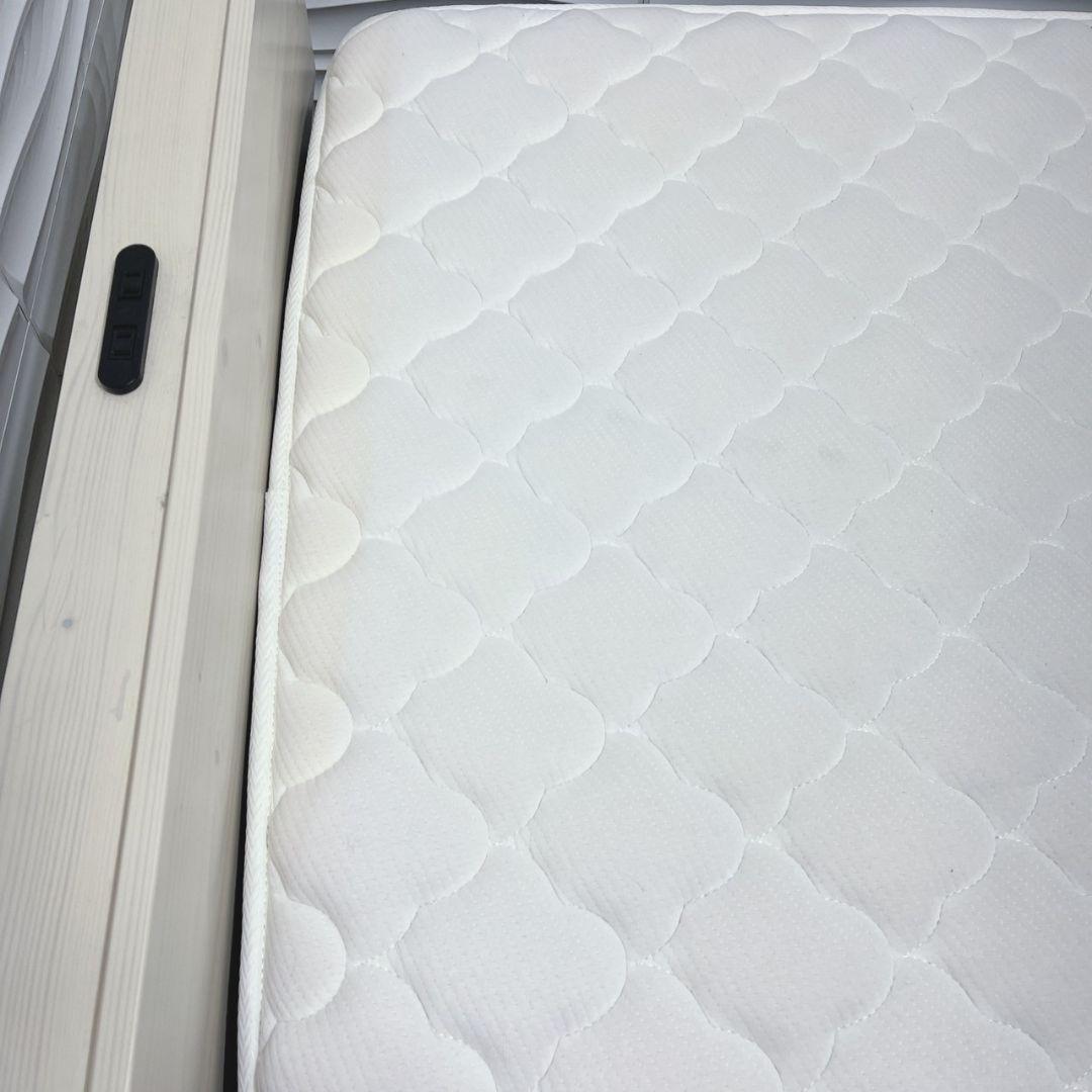 ムク　フレームのみ　3月3日配達