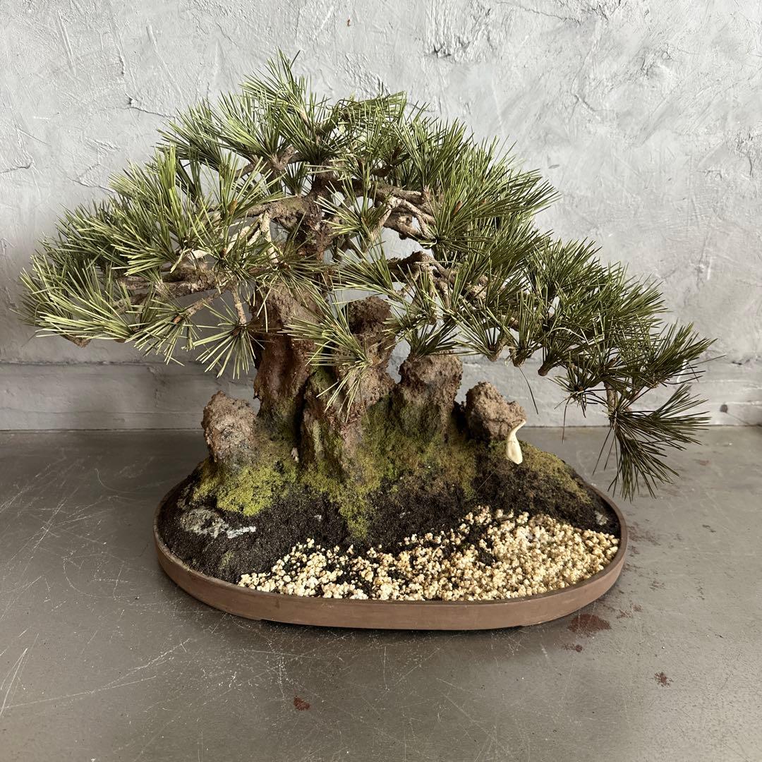 フェイク！中型盆栽 苔と土の植え込みの鉢