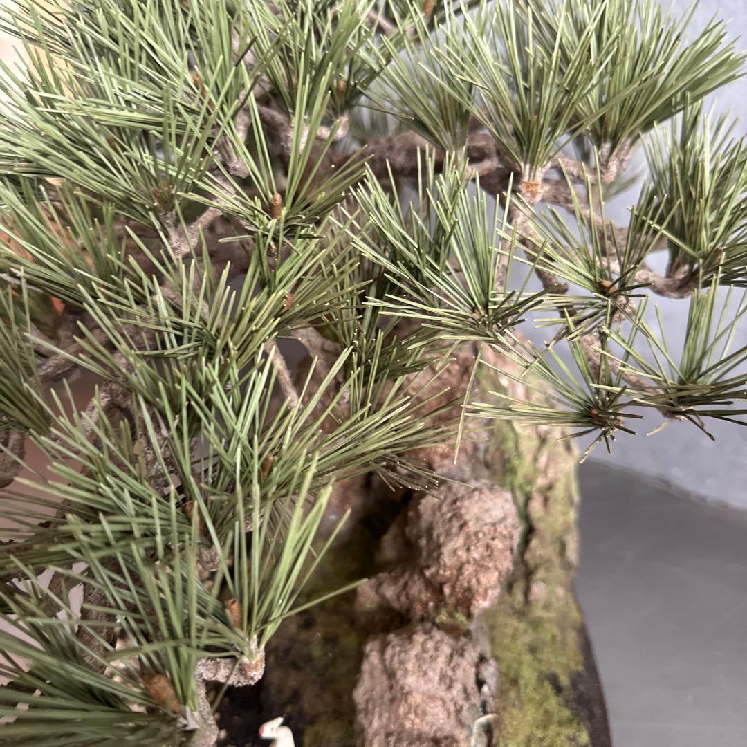 フェイク！中型盆栽 苔と土の植え込みの鉢