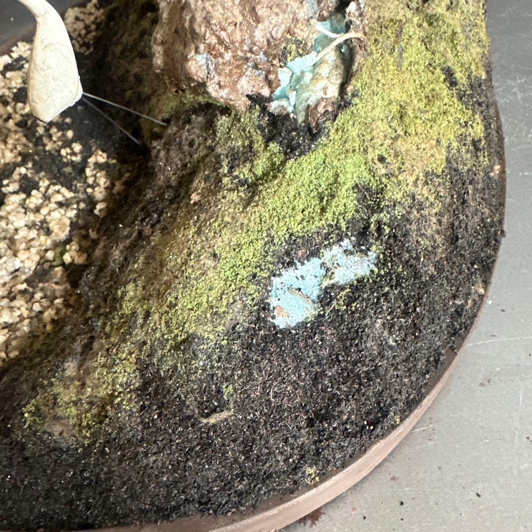 フェイク！中型盆栽 苔と土の植え込みの鉢