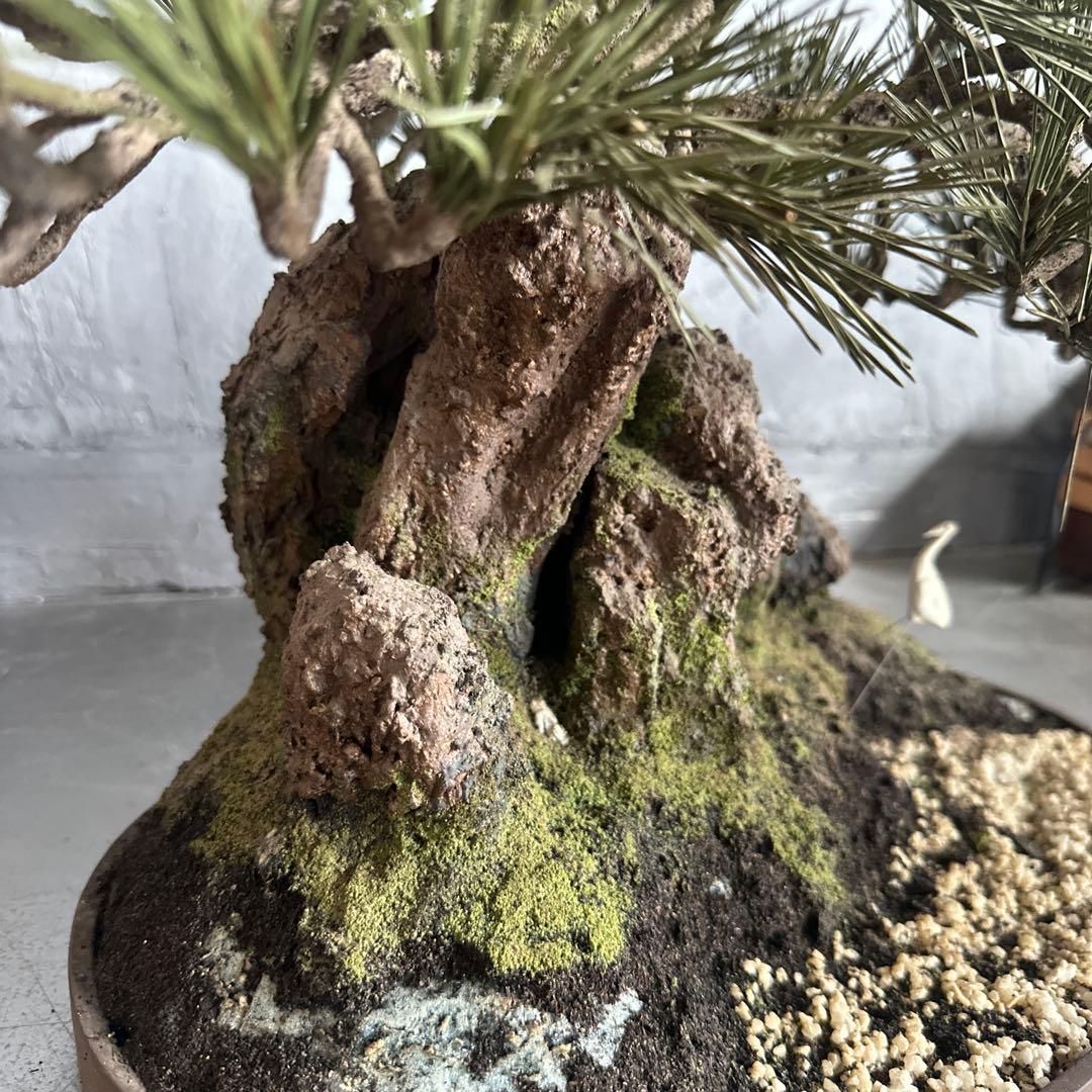 フェイク！中型盆栽 苔と土の植え込みの鉢