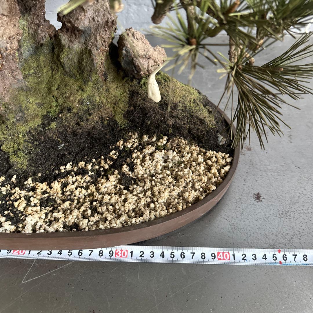 フェイク！中型盆栽 苔と土の植え込みの鉢