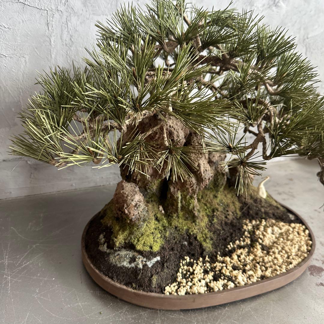 フェイク！中型盆栽 苔と土の植え込みの鉢