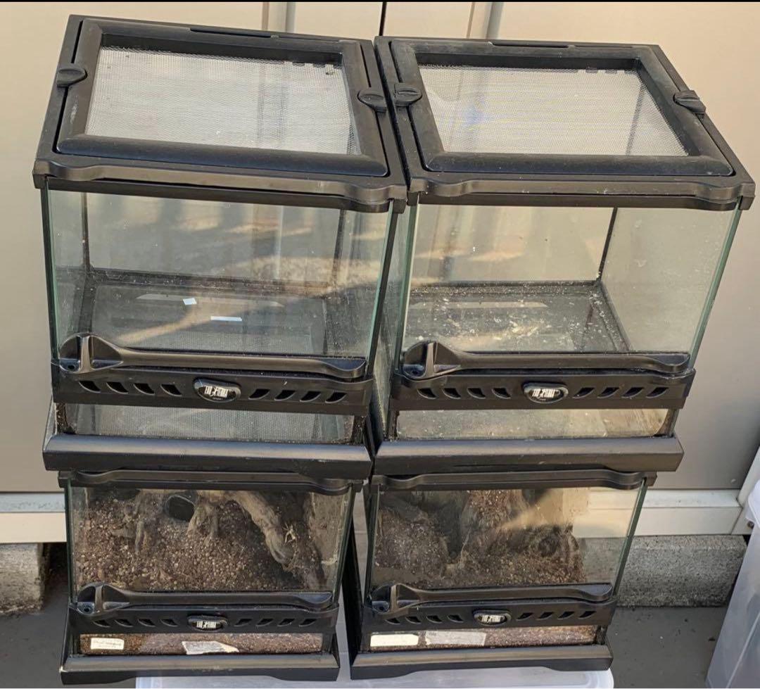 グラステラリウム　ナノ　キューブ　nano 4台　エキゾテラ　飼育　ケージ