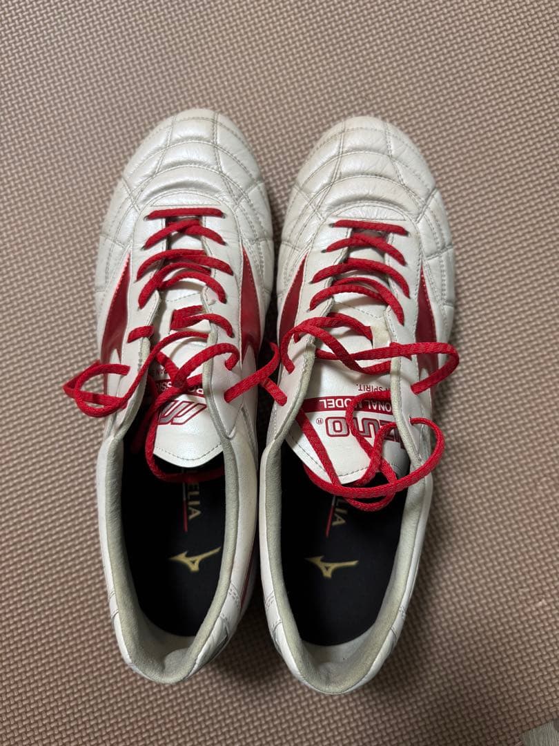 モレリアII ジャパン　AG 28cm