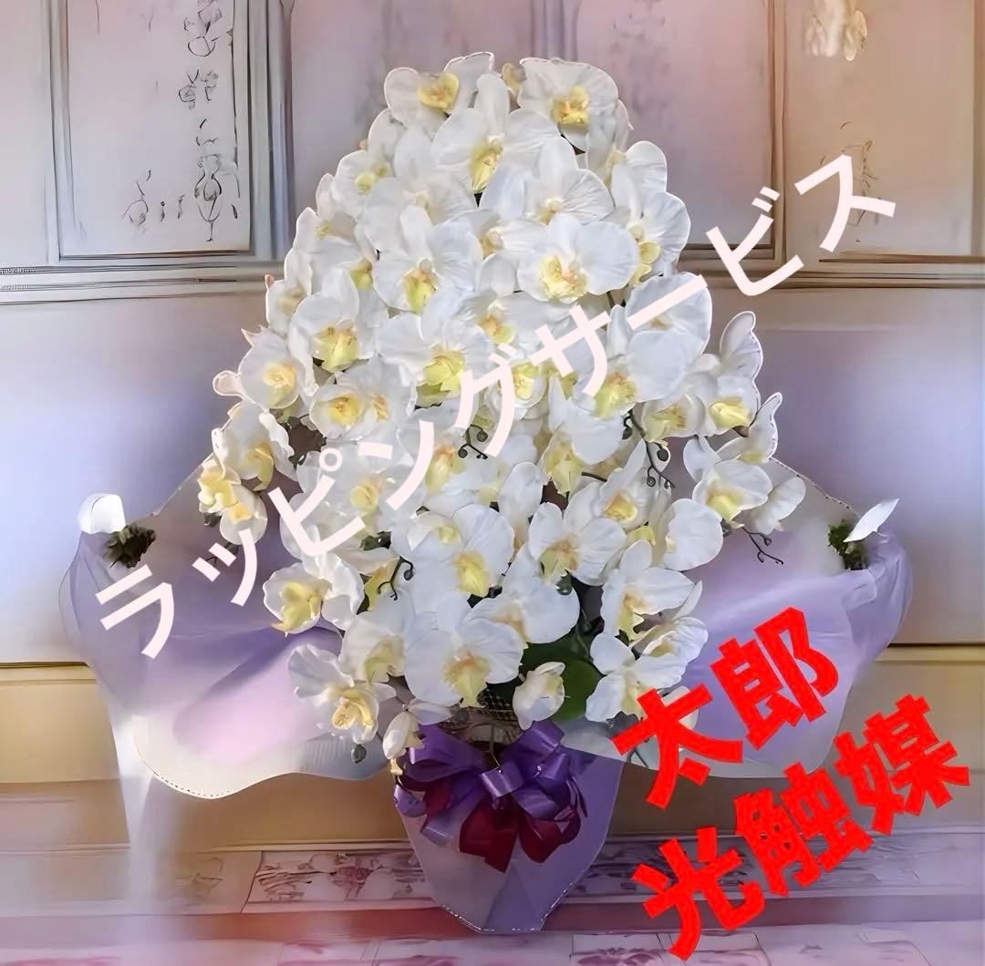 光触媒　人工観葉植物　ウォールグリーン　フェイクグリーン　胡蝶蘭10本gj