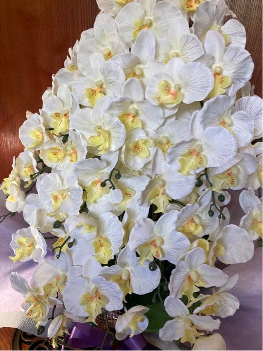 光触媒　人工観葉植物　ウォールグリーン　フェイクグリーン　胡蝶蘭10本gj