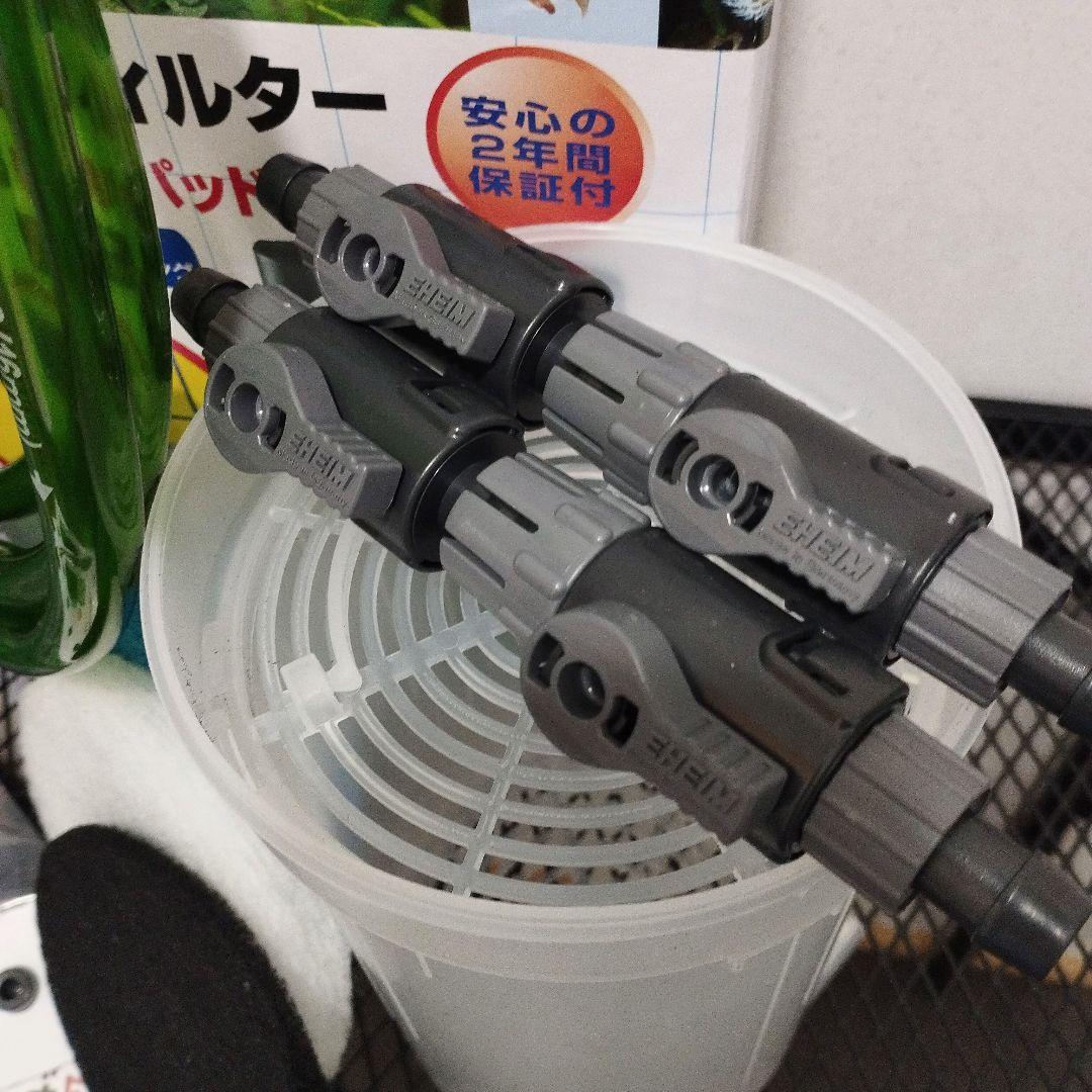 パンプキン