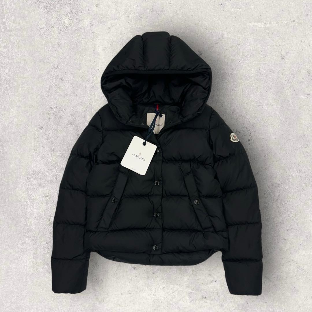 12026【タグ付き・QR鑑定済み】モンクレール　LENAR ダウンジャケット黒