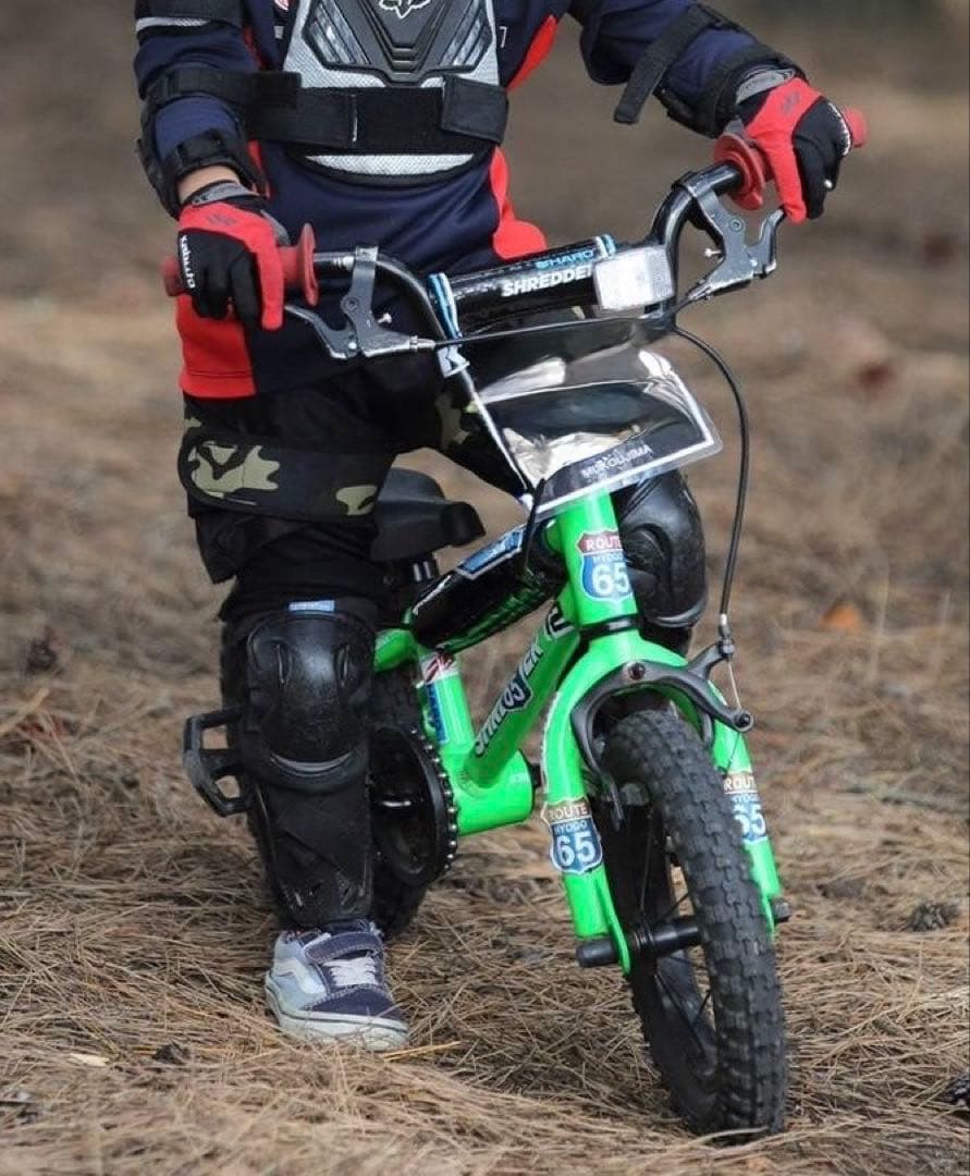 HARO SHREDDER-12 ギヤ比変更などカスタム総額5万円超