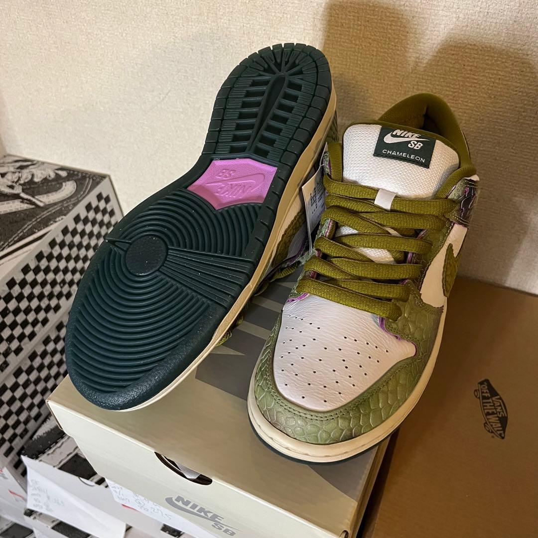 NIKE SB DUNK LOW PRO QS chameleon カメレオン