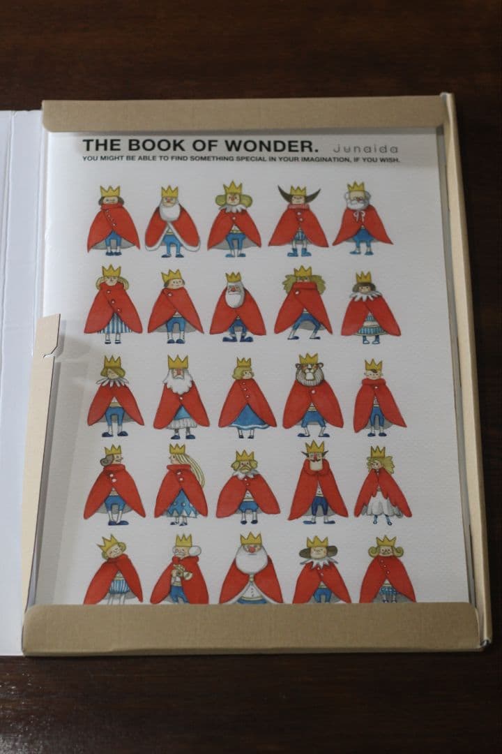 【美品】junaida THE BOOK OF WONDER 2011ジュナイダ